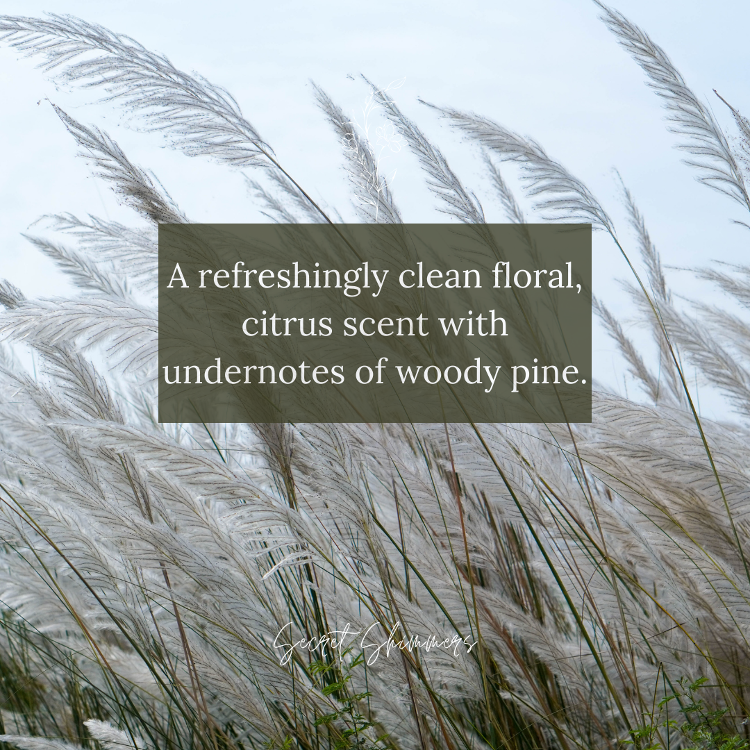 Number 2 Loo/Toilet Spray