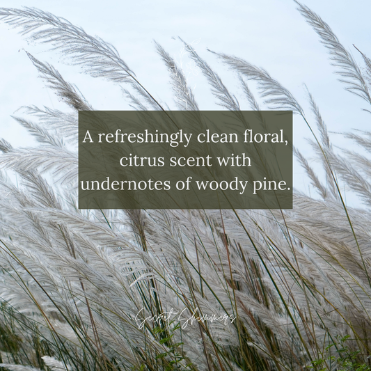 Number 2 Loo/Toilet Spray