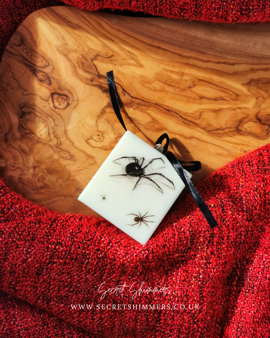 Black Widow Candle UK | Spooky Halloween Autumn Candle | Bloom Cube