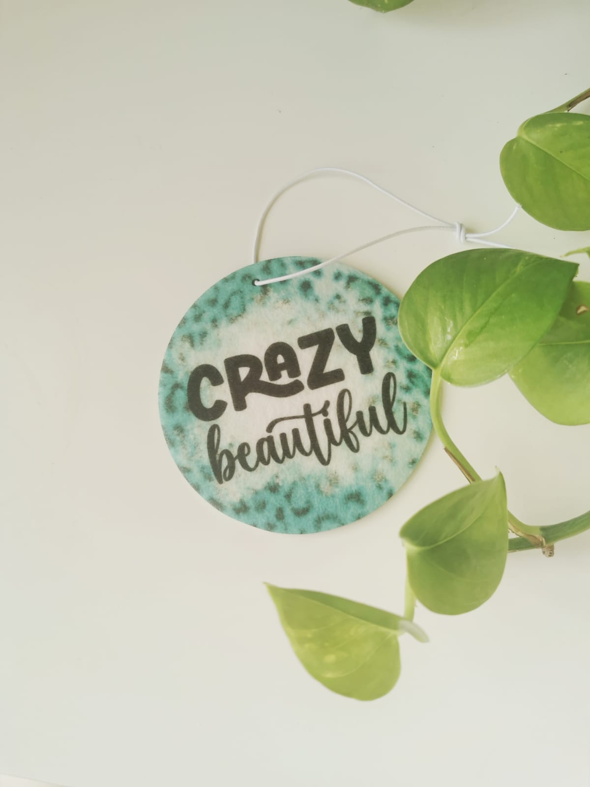 Car Fresheners - Sarcastic and Sassy