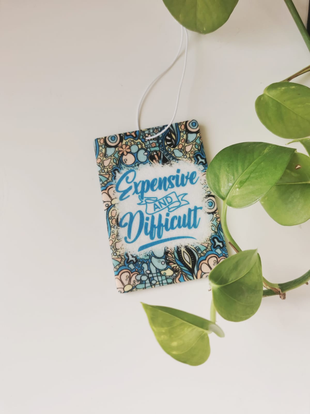 Car Fresheners - Sarcastic and Sassy