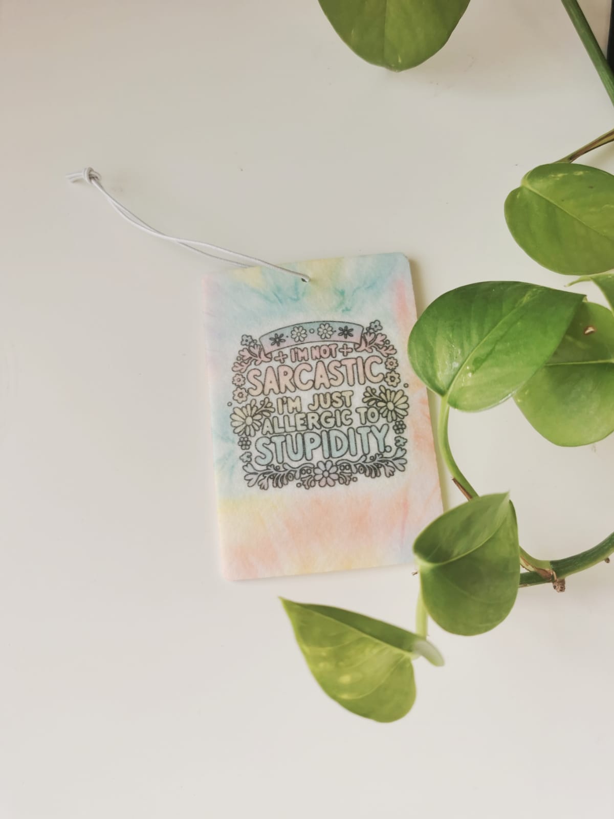 Car Fresheners - Sarcastic and Sassy