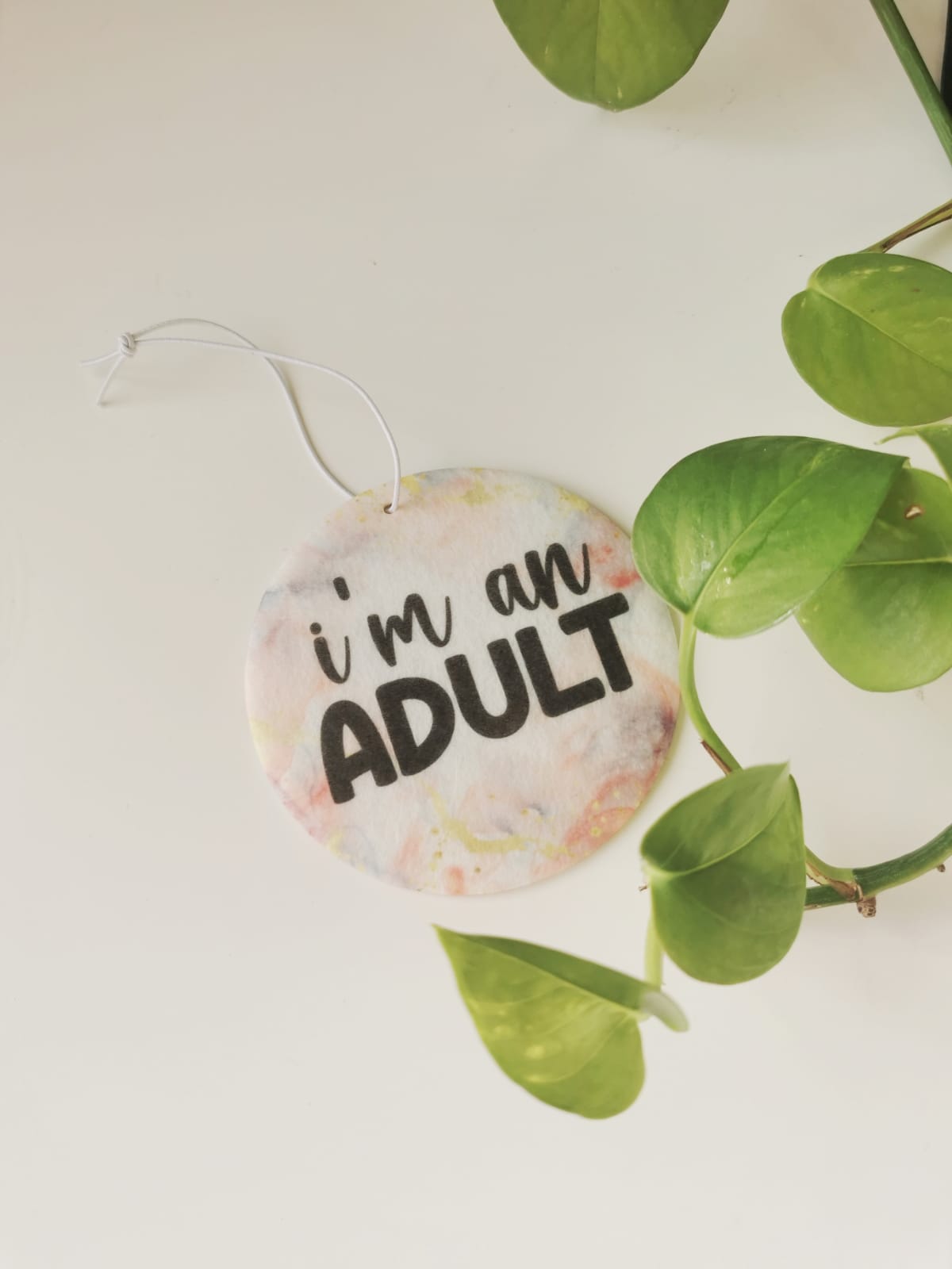 Car Fresheners - Sarcastic and Sassy
