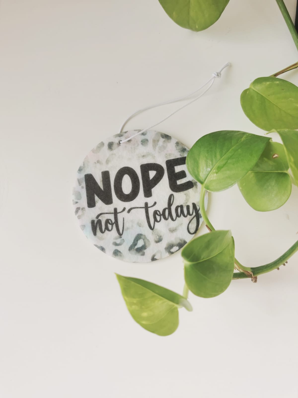 Car Fresheners - Sarcastic and Sassy