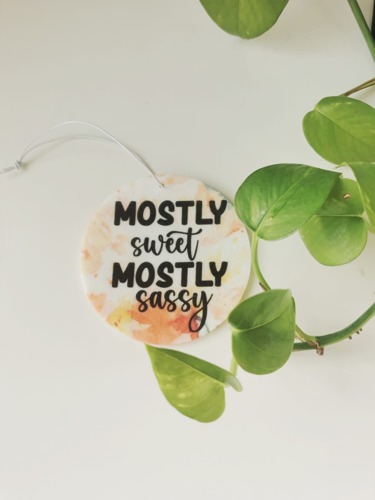 Car Fresheners - Sarcastic and Sassy