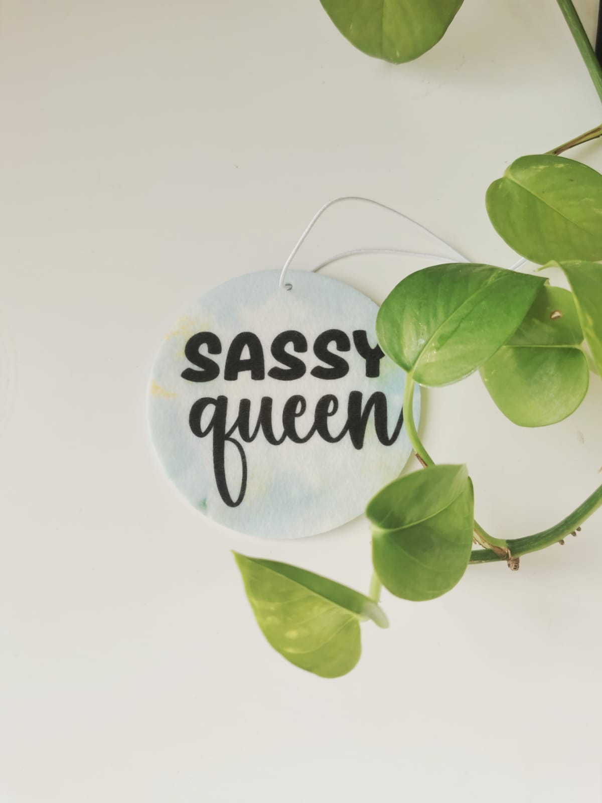Car Fresheners - Sarcastic and Sassy