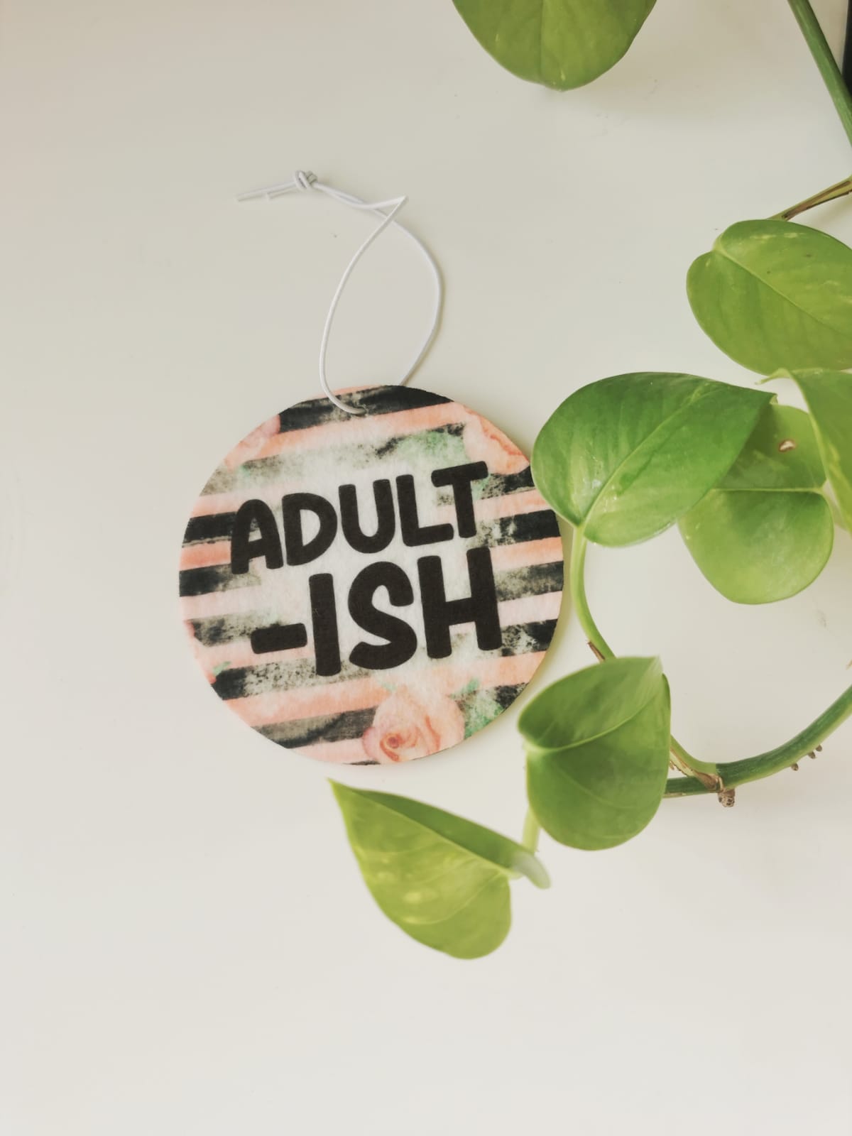 Car Fresheners - Sarcastic and Sassy