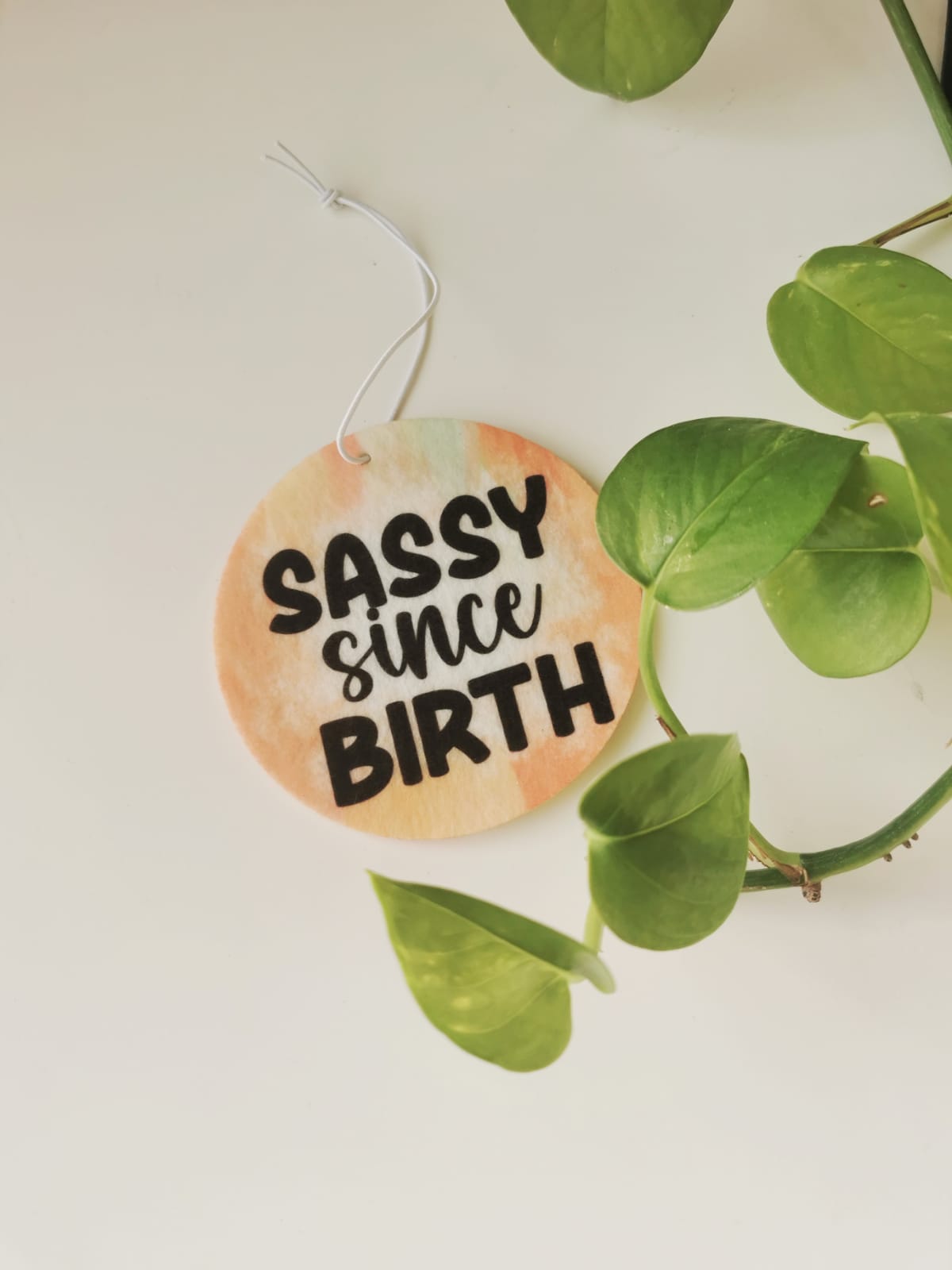 Car Fresheners - Sarcastic and Sassy