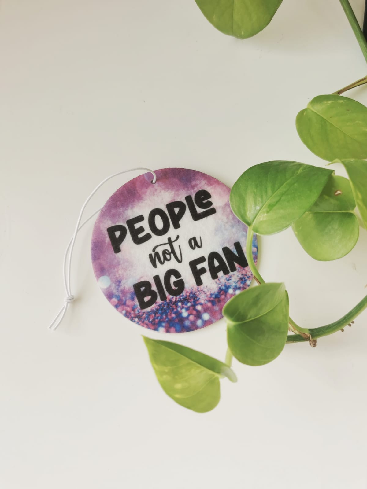 Car Fresheners - Sarcastic and Sassy