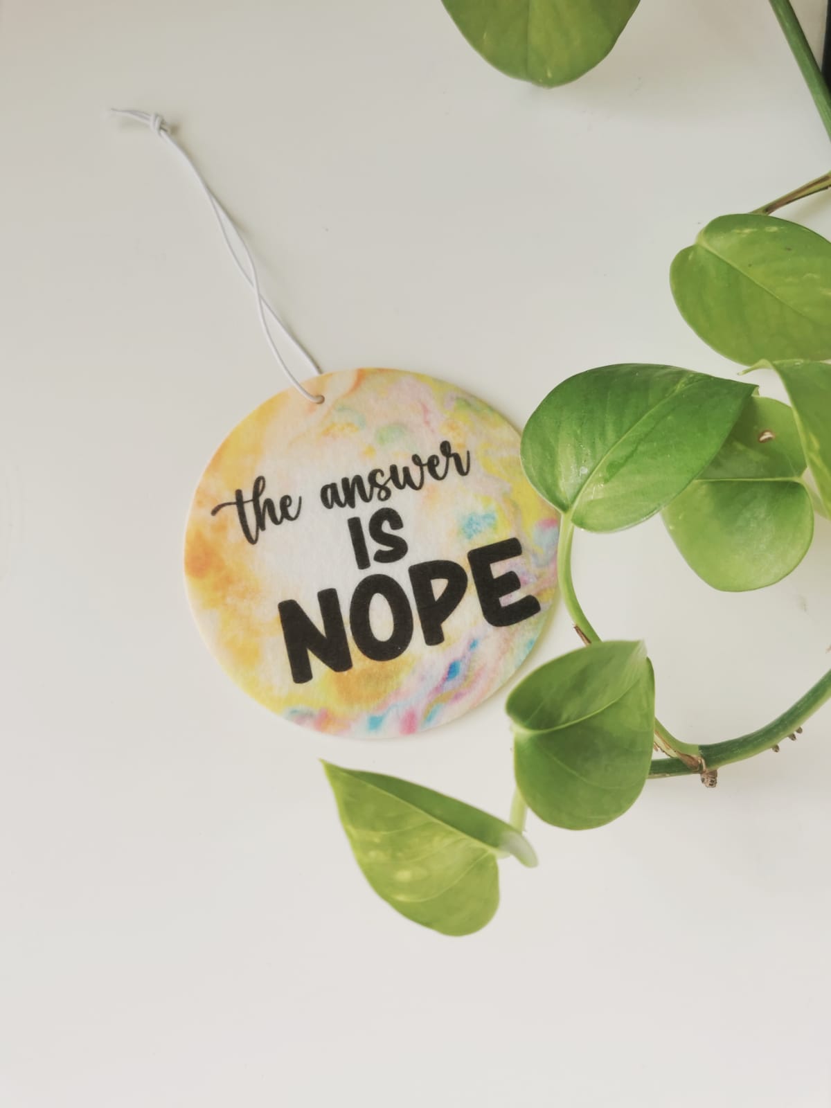 Car Fresheners - Sarcastic and Sassy