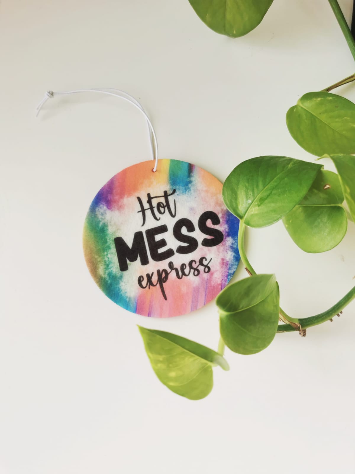 Car Fresheners - Sarcastic and Sassy